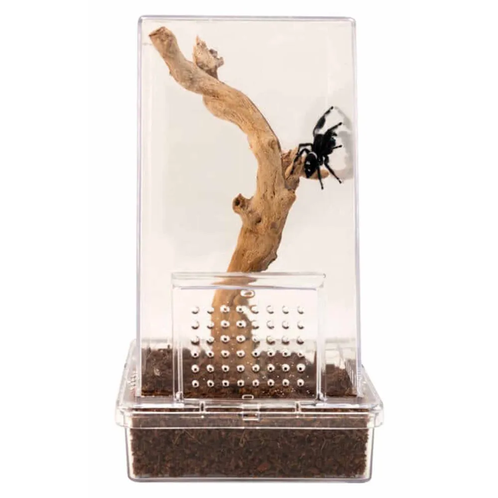 Zoo Med Spring Edderkop Kit 7,6 x 7,6 x 15,25 cm
